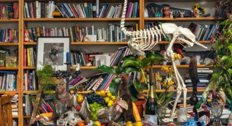 Музей курьезов Виктора Вунда – странное место в одном из районов Лондона