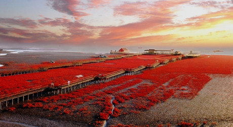 Рапсовые поля и побережье Ляохе на флаге Китая