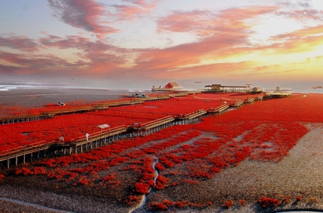 Рапсовые поля и побережье Ляохе на флаге Китая