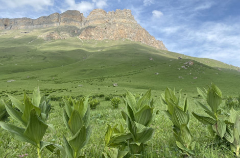 Поездка на перевал Актопрак, Чегемские водопады и озеро Гижгит