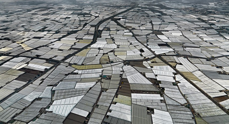 Теплицы в Альмерии – самая большая концентрация парников в мире