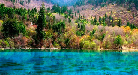 Жемчужина китайской природы – Национальный парк Цзючжайгоу