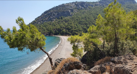 Пренс Чарльз Койю (Prens Charles Koyu) — как добраться из Мерсина