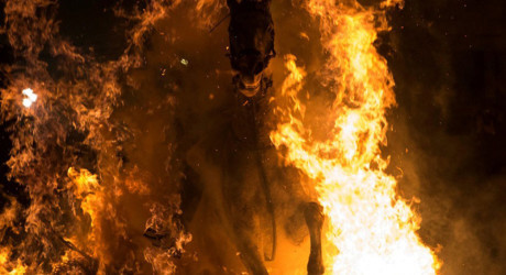 «Купание коней в огне» в день Святого Антония в Испании