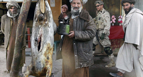 Страны, в которые родная мать бы вас не отпустила