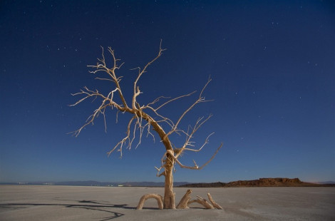 Затерянный город Salton Sea на юге штата Калифорния
