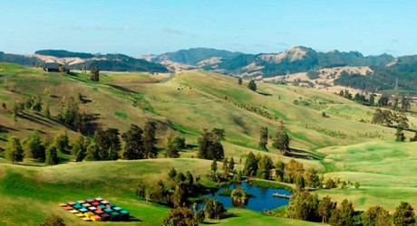 «Ферма Гиббса» — один из самых необычных скульптурных парков в мире