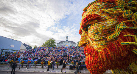 Знаменитый парад цветов в Зюндерте — в Голландии