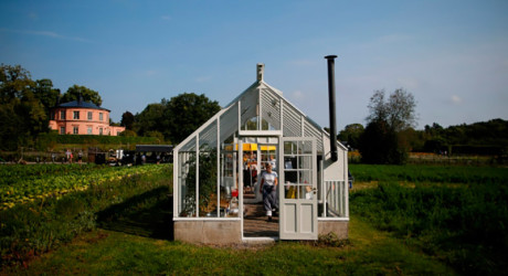 Необычные огороды жителей Швеции