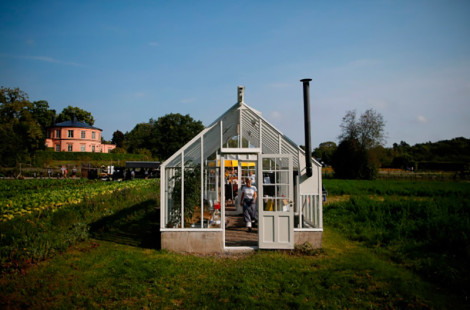 Необычные огороды жителей Швеции