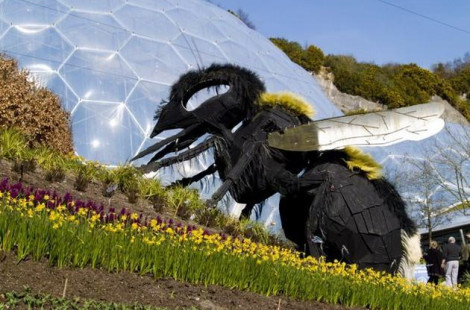 Рай в каолиновом карьере