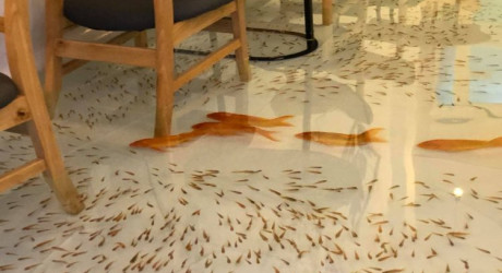 Уникальное кафе в Хошимине, где на полу плавают рыбы