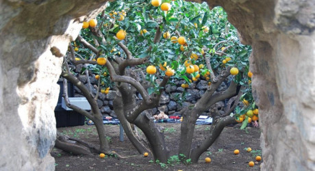 Старинные сады острова Пантеллерия в Средиземном море