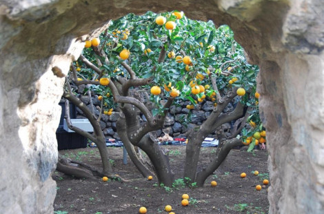 Старинные сады острова Пантеллерия в Средиземном море