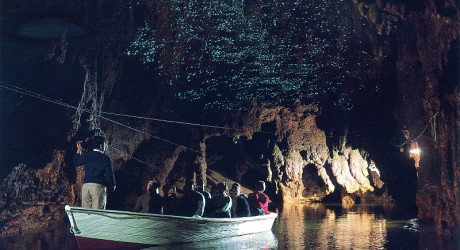 Светящаяся пещера в Новой Зеландии