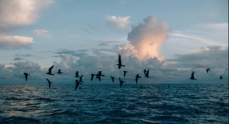 Токелау – самая удаленная страна мира, которая с каждым годом все больше уходит под воду