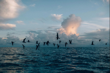 Токелау – самая удаленная страна мира, которая с каждым годом все больше уходит под воду