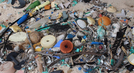 Хендерсон – один из самых загрязненных необитаемых островов в мире