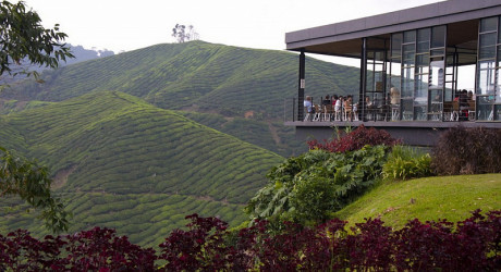 Фантастический центр Роз в Малайзии