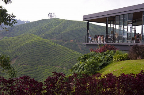 Фантастический центр Роз в Малайзии