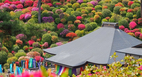 Shiofune-Kannon-ji Temple – буддийский храм, окруженный разноцветными кустами азалии