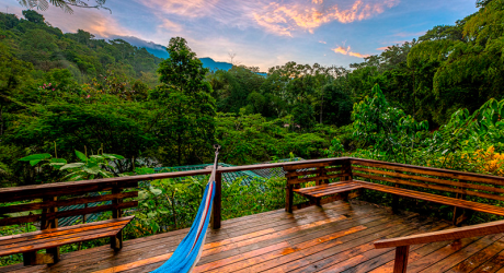 «Финка Беллависта» – красивейшее поселение на деревьях на Коста-Рике