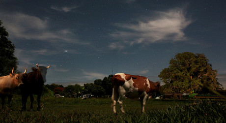 О жизни старообрядцев в Боливии