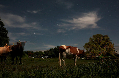 О жизни старообрядцев в Боливии