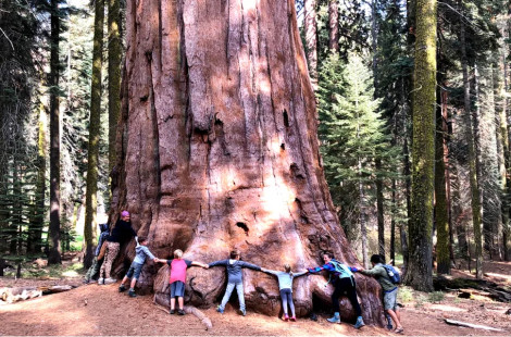 Национальный парк Секвойя