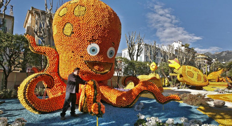 Фестиваль лимонов во французском городе Ментона