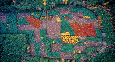 Взаимодействие человека с природой глазами польского фотографа Кацпера Ковальски