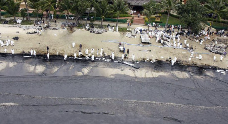 Пляжи тайского острова Самет залиты нефтью