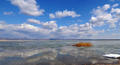 Алтай. Горькое озеро