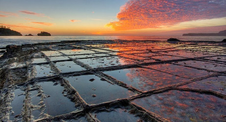 Обычные природные «мозаичные тротуары» рядом с материковой частью Тасмании