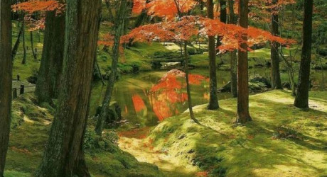 Древний сад мхов Koinzan Saihoji в Японии