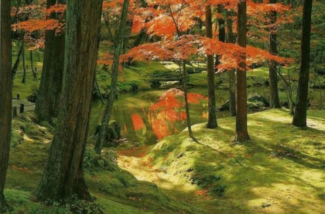 Древний сад мхов Koinzan Saihoji в Японии