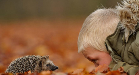 Фотограф завоевал доверие животных, находясь с ними в течение года