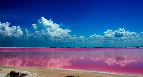 Невероятная розовая лагуна у побережья полуострова Юкатан