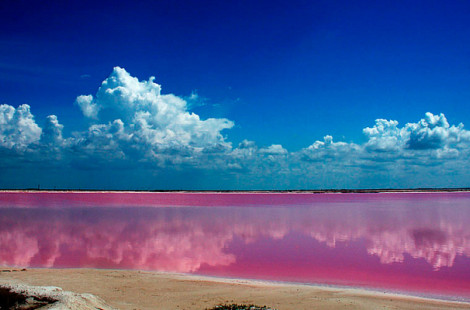 Невероятная розовая лагуна у побережья полуострова Юкатан