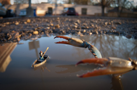 «Маленький мир» семьи Мозес