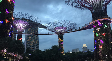 Сингапур самостоятельно: виза и как добраться