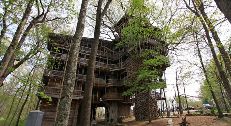 Самый большой дом на дереве