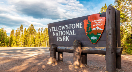 12 лет тюрьмы за поиски сокровищ на кладбище в Йеллоустоуне