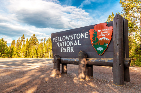 12 лет тюрьмы за поиски сокровищ на кладбище в Йеллоустоуне