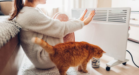 Десять способов утеплить жильё в холодную погоду