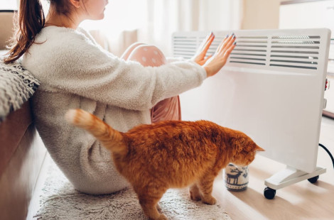 Десять способов утеплить жильё в холодную погоду