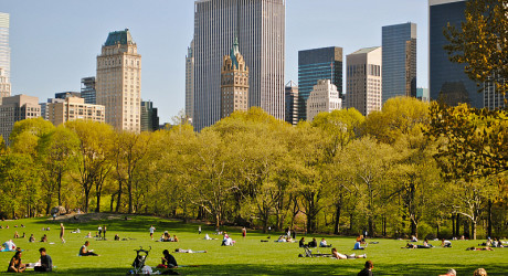 Увидеть Манхеттен, чтобы понять Нью-Йорк