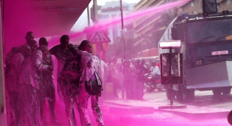 «Цветная полиция»