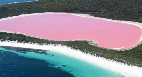 Розовое озеро Хиллер