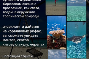 Мальдивы, c 15 июня 2025 по 23 июня 2025, на 8 - 9 дней. Фото 2